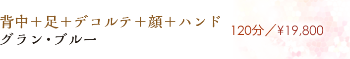 【グラン・ブルー】120分／¥19,800