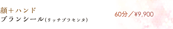 【ブランシール(リッチプラセンタ)】60分／¥9,900