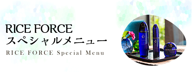 RICE FORCE　スペシャルメニュー